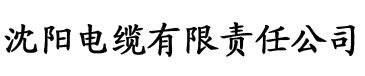 极品丝袜大杂烩电缆厂logo